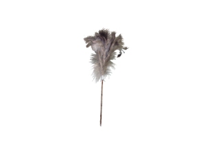 12461_medium